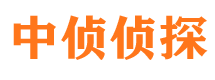 成都找人公司